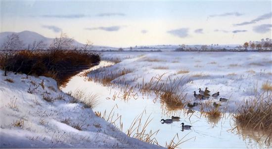 Philip Rickman (1891-1982), watercolour and gouache, Mallard in a wintery river landscape, signed, 40 x 74cm